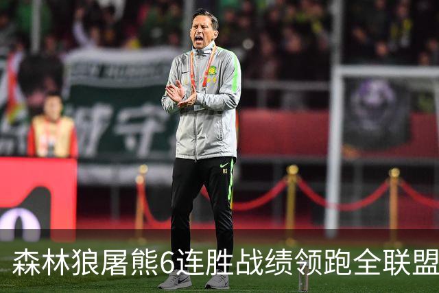 森林狼屠熊6连胜战绩领跑全联盟 骑士力克热火
